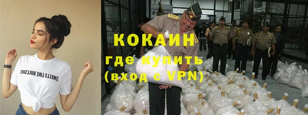 крисы Новокубанск