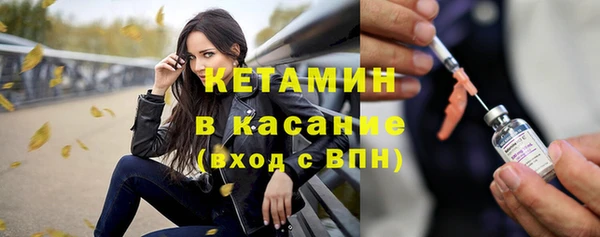 крисы Новокубанск