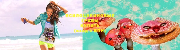 молекула духа Новодвинск