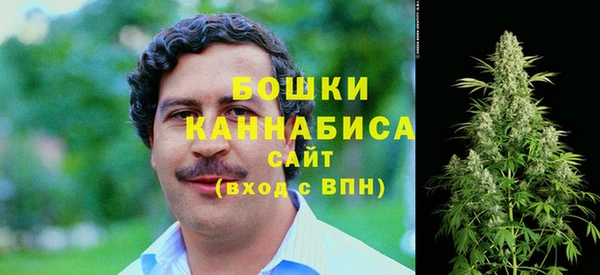 крисы Новокубанск