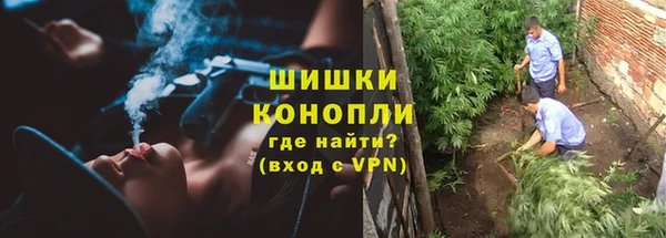 молекула духа Новодвинск