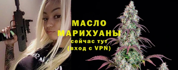 молекула духа Новодвинск
